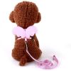 Angel Wing Pet Harness Puppy Leash Set Soft Safe Adjustable Outdoor Walking Leads Rope For Small Dog Supplies