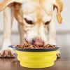 4Pcs Silicone Collapsible Dog Bowls BPA Free Travel Dog Bowl Foldable Dog Food Water Bowl