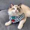 Small Dog Cute Cherry Bibs Scarf Pet Bandana Neckerchief Accessories, Blue