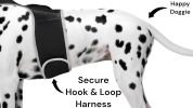 Enhanced GPS Pet Finder System Pet Tracker Waterproof Dog Tracking Device Size:L