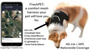 Easy to Use Dog Tracking GPS GSM Device Waterproof Pet Remote Locator Size:L