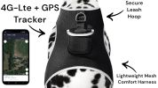 Realtime Detailed GPS Dog Tracking System Water Resilient Collar Mounted Tracker Size:XS