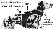 Portable GPS Tracking for Dog Realtime Waterproof Collar Pet Tracker Size:XS