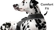 Realtime Detailed GPS Dog Tracking System Water Resilient Collar Mounted Tracker Size:XS