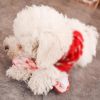 Pet Dog Toys For Small Dogs Funny Simulation Bite Resistant Squeaky Puppy Toy Chew Dogs Toys Pets Products