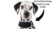 Portable GPS Tracking for Dog Realtime Waterproof Collar Pet Tracker Size:XS