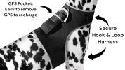 Portable GPS Tracking for Dog Realtime Waterproof Collar Pet Tracker Size:XS