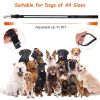 5FT Light Up Dog Leash LED Dog Leash Dog Walking Leash with 9 Light Colors IPX7 Waterproof USB Rechargeable