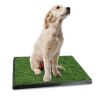 Dog Potty Training Artificial Grass Pad Pet Toilet Trainer Mat Puppy Loo Tray Turf