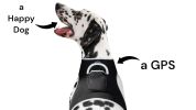 Pet Tracker GPRS GPS Tracking Dog Collar Waterproof Rechargeable Tracker Size:L