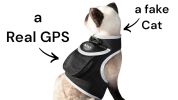 Hunting Made Easy w/ NEW Pet Tracker GPS Tracking Collars for Hunting Dogs Size:L