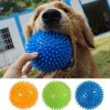 Pet Dog Toys Puppy Sounding Toy Polka Squeaky Tooth Cleaning Ball TPR Training Pet Teeth Chewing Toy Thorn Balls Accessories