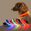 Glow-In-The-Dark Pet Collar For Dog; LED Dog Collar For Night Walking; USB charging