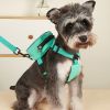 Pet Harness And Leash Set For Dog; No Pull Dog Vest Harness With Backpack; Cute Dog Leash