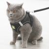 Reflective Pet Harness And Leash Set For Dog; No Pull Dog Vest Harness With Breathable Mesh