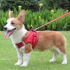 Reflective Pet Harness And Leash Set For Dog; No Pull Dog Vest Harness With Breathable Mesh