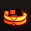 Glow-In-The-Dark Pet Collar For Dog; LED Dog Collar For Night Walking; USB charging