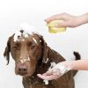 Bathroom Puppy Big Dog Bath Massage Gloves Brush Soft Safety Silicone Pet Accessories for Dogs Tools Mascotas Products