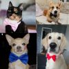 Dogs Accessories; Dog Necklace Adjustable Strap for Collar; Pet Dog Bow Tie Puppy Bow Ties Dog Pet Supplies