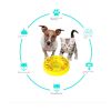 Dog Puzzle Toys Slow Feeder Interactive Increase Puppy IQ Food Dispenser Slowly Eating Non Slip Bowl Pet Dogs Training Game