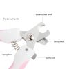 2Pcs/set Pet Grooming Tools Stainless Steel Nail Clippers Dogs Nail Scissor Nail Cutter Puppy Grooming Nail Grinder