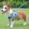 Reflective Pet Harness And Leash Set For Dog; No Pull Dog Vest Harness With Breathable Mesh